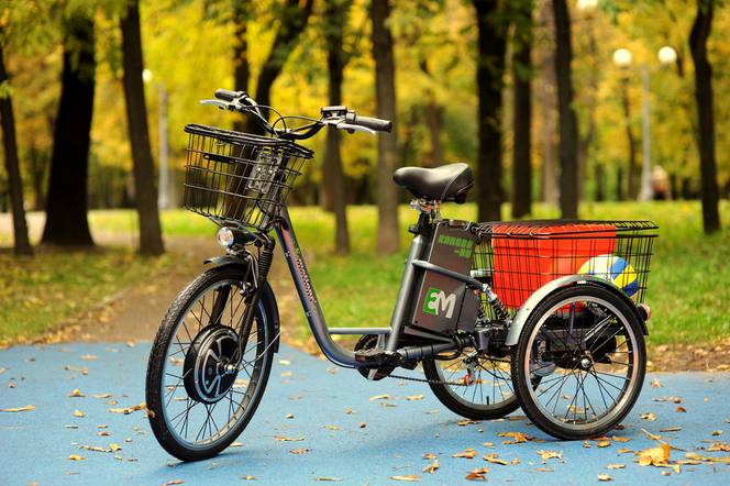 Электровелосипед E-motions Kangoo-ru 500w/700w - купить с доставкой по России и всему миру!