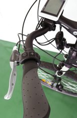 Левая ручка с кнопками управления и SW - LSD дисплей (по центру руля)