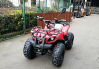 Квадроцикл GreenCamel Атакама T320 (48V20Ah 1000W R8) Квадроцикл GreenCamel Атакама T320 (48V20Ah 1000W R8)