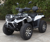 Квадроцикл GreenCamel Linhai LH40DA (3900W 50 км/ч) Квадроцикл GreenCamel Linhai LH40DA (3900W 50 км/ч)