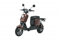 Электроскутер SkyBoard Kazbek 1000W Электроскутер SkyBoard Kazbek 1000W