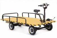 Грузовая электротележка RuTrike СКЛАД 2500 Грузовая электротележка RuTrike СКЛАД 2500