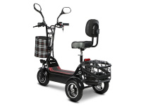 Электротрицикл TRION Partner MX 12 PRO Электротрицикл TRION Partner MX 12 PRO