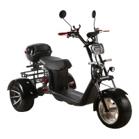 Электроскутер SKYBOARD TRIKE BR60-3000 PRO FAST Электроскутер SKYBOARD TRIKE BR60-3000 PRO FAST