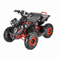 Квадроцикл WHITE SIBERIA SNEG R 1500W Квадроцикл WHITE SIBERIA SNEG R 1500W