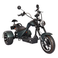Электроскутер SKYBOARD TRIKE CHOPPER-4000 PRO FAST Электроскутер SKYBOARD TRIKE CHOPPER-4000 PRO FAST