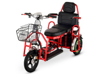 Электротрицикл TRION Transporter Dual Электротрицикл TRION Transporter Dual