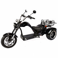 Электроскутер SKYBOARD TRIKE CHOPPER-4000 Dnepr Электроскутер SKYBOARD TRIKE CHOPPER-4000 Dnepr