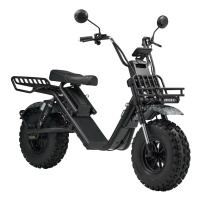Электроскутер SkyBoard Kamchatka 3000W Электроскутер SkyBoard Kamchatka 3000W