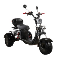 Электроскутер SKYBOARD TRIKE BR40-3000 PRO FAST OFF-ROAD Электроскутер SKYBOARD TRIKE BR40-3000 PRO FAST OFF-ROAD