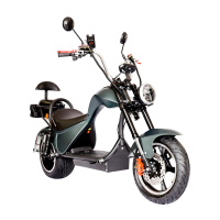 Электроскутер SKYBOARD CHOPPER 3000 PRO Электроскутер SKYBOARD CHOPPER 3000 PRO
