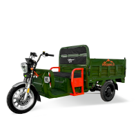 Грузовой трицикл Rockwild Cargo MAX Q30
