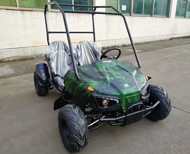 Багги GreenCamel Намиб T009 (60V20Ah 1500W R7) Дифф 