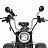 Электроскутер SKYBOARD TRIKE CHOPPER-2000 Электроскутер SKYBOARD TRIKE CHOPPER-2000