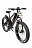 Электровелосипед InoBike Grand Dad Электровелосипед InoBike Grand Dad