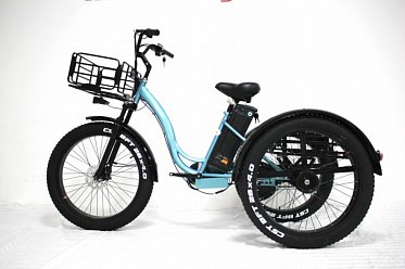 Электровелосипед GreenCamel Трайк-F (R26FAT 1000W 48V 20.3Ah) Gre02593