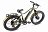 Электро фэтбайк VOLTECO BigCat Dual Next Электро фэтбайк VOLTECO BigCat Dual Next 024311