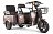 Электротрицикл Rutrike Вагон 