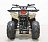 Квадроцикл GreenCamel Гоби K51 (36V 800W R7 Цепь) 