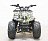 Квадроцикл GreenCamel Гоби K51 (36V 800W R7 Цепь) 