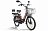 Электровелосипед GREEN CITY e-ALFA LUX 022302